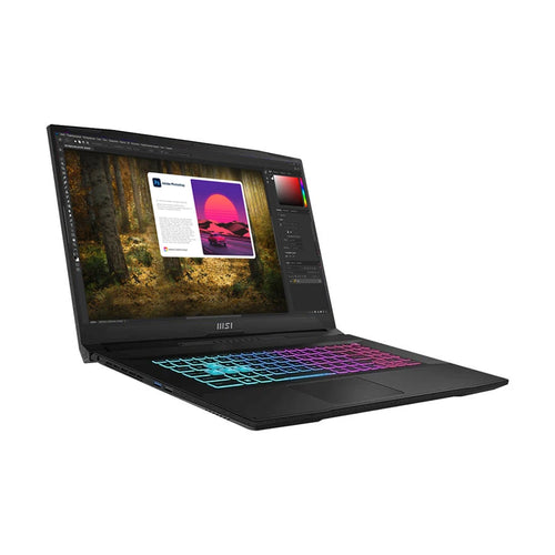 MSI Katana 17 B13V 17.3"