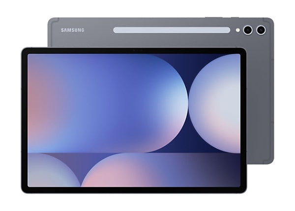 Samsung Galaxy Tab S10 Plus 256GB WiFi X820